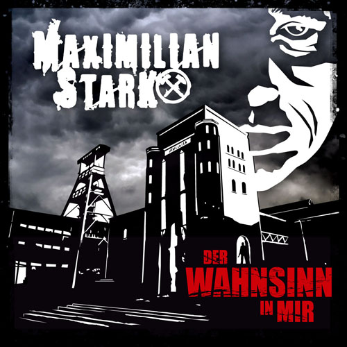 Maximilian Stark - Der Wahnsinn in mir (Cover)
